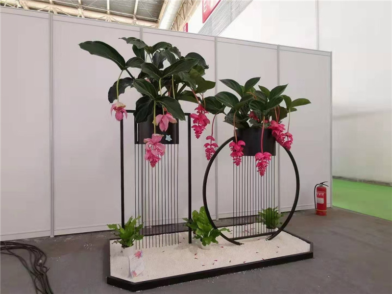 无锡花架组合
